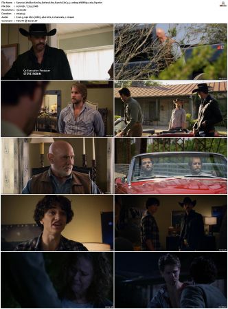 Walker S01 S04 WEBRip EAC3 5 1 1080p x265-iVy