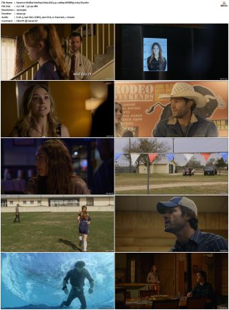 Walker S01 S04 WEBRip EAC3 5 1 1080p x265-iVy
