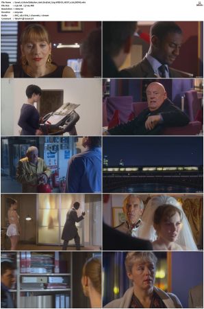Hotel Babylon 2006 S01 S04 720p WEB-DL HEVC x265 BONE
