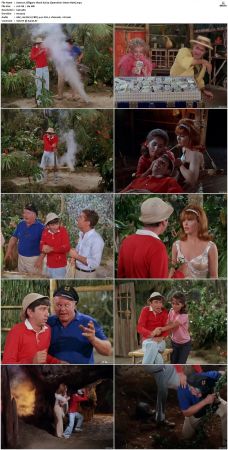 Gilligans Island S01 S03 DVDRip H264-NGP
