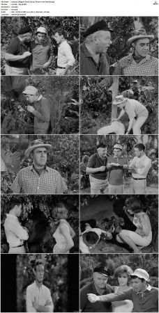 Gilligans Island S01 S03 DVDRip H264-NGP