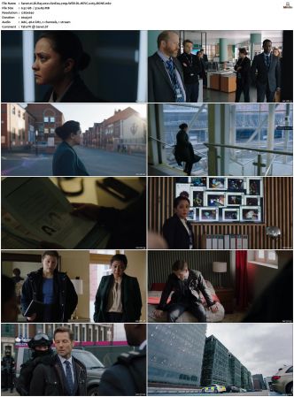 DI Ray 2022 S01 S02 720p WEB-DL HEVC x265 BONE