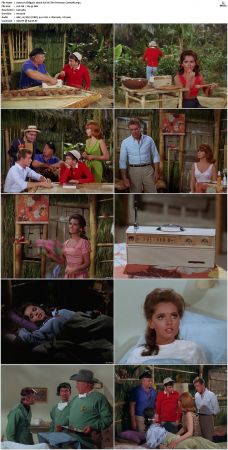 Gilligans Island S01 S03 DVDRip H264-NGP