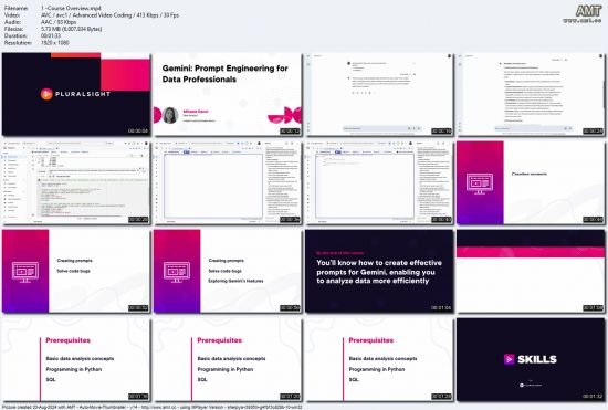 Gemini: Prompt Engineering for Data Professionals
