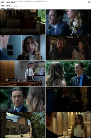 Marvels Iron Fist S01 S02 720p Bluray AAC x265-BMF