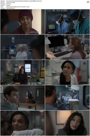 New Amsterdam 2018 S01-S05 1080p WEBRip EAC3 5.1 x265-iVy
