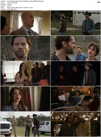 Walker S01-S04 1080p WEBRip EAC3 5.1 x265-iVy