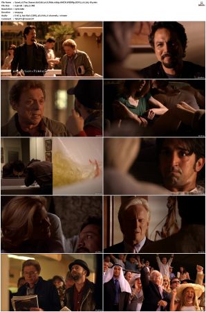 The Cleaner S01 S02 1080p AMZN WEBRip DDP 5 1 x265-iVy