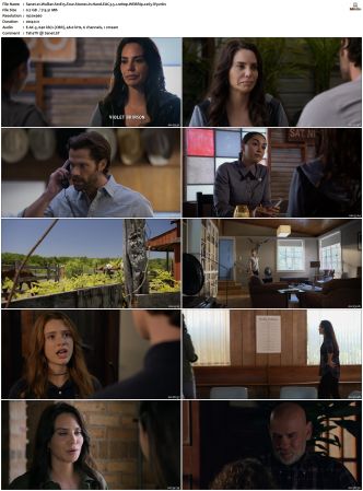 Walker S01 S04 WEBRip EAC3 5 1 1080p x265-iVy