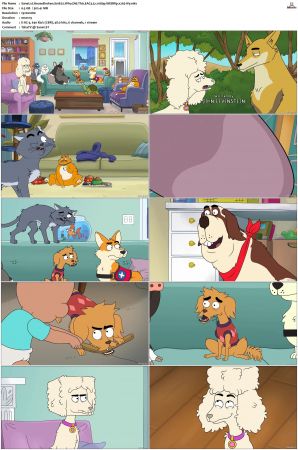 HouseBroken S01 S02 WEBRip EAC3 5 1 1080p x265-iVy