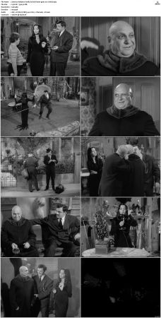 The Addams Family 1964 S01-S02 DVDRip X264-NGP