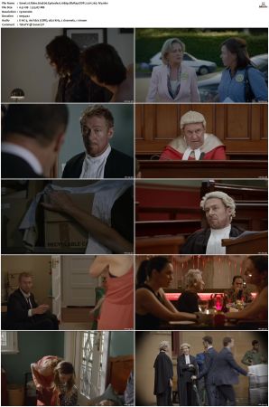Rake S01 S05 1080p BluRay DDP 2 0 x265-iVy