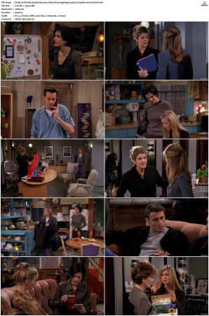 Friends S01-S10 SUPER-PACK 720p BluRay x265-BMF