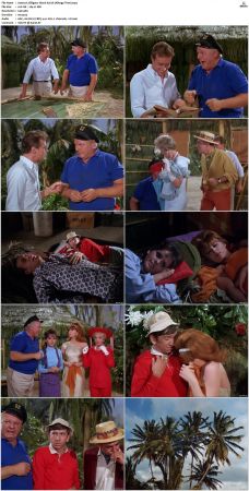 Gilligans Island S01 S03 DVDRip H264-NGP