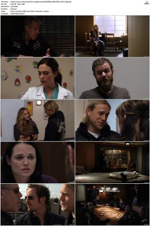 Sons of Anarchy S01 S07 SUPER-PACK 1080p WEBRip 10Bit DDP5 1 HEVC-d3g