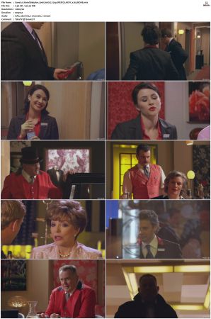 Hotel Babylon 2006 S01 S04 720p WEB-DL HEVC x265 BONE