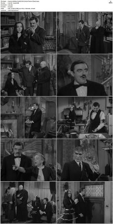 The Addams Family 1964 S01 S02 DVDRip X264-NGP