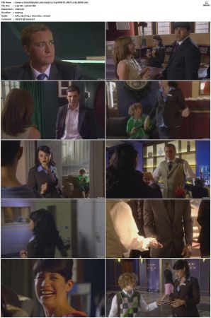 Hotel Babylon 2006 S01 S04 720p WEB-DL HEVC x265 BONE