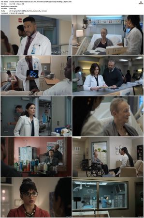 New Amsterdam S01 S05 WEBRip EAC3 5 1 1080p x265-iVy