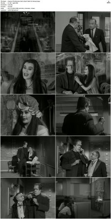 The Munsters 1964 S01 S02 DVDRip MPEG-NGP