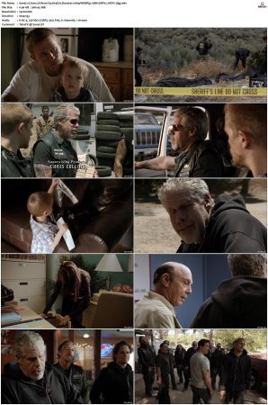 Sons of Anarchy S01-S07 SUPER-PACK 1080p WEBRip 10Bit DDP5.1 HEVC-d3g