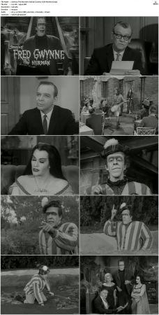 The Munsters 1964 S01 S02 DVDRip MPEG-NGP
