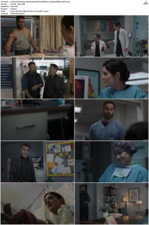 New Amsterdam 2018 S01-S05 1080p WEBRip EAC3 5.1 x265-iVy