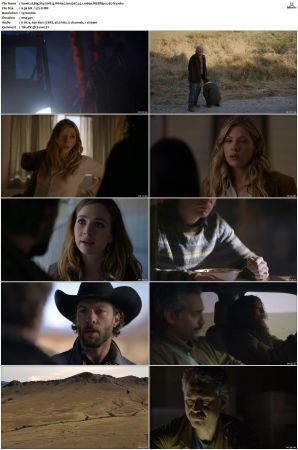 Big Sky S01 S03 WEBRip EAC3 5 1 1080p x265-iVy