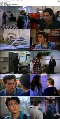 21 Jump Street S01 S05 WEB-DL H 264-JiTB