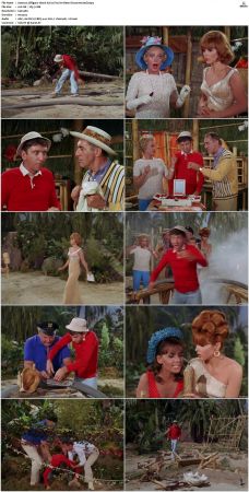 Gilligans Island S01 S03 DVDRip H264-NGP