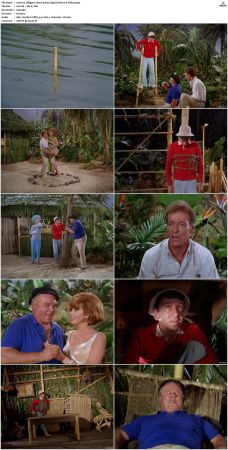 Gilligans Island S01 S03 DVDRip H264-NGP