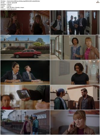 Harry Wild 2022 S01 S03 720p WEB-DL HEVC x265 BONE