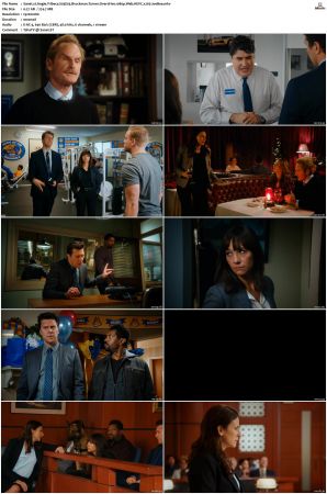 Angie Tribeca S01 S04 SUPER-PACK 1080p Web DDP5 1 HEVC x265-JoeBee