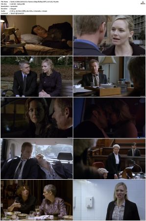 Rake S01 S05 1080p BluRay DDP 2 0 x265-iVy