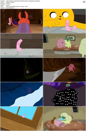 Adventure Time 2008 S01-S10 + Fionna and Cake 1080p Bluray EAC3 2.0 x265-iVy