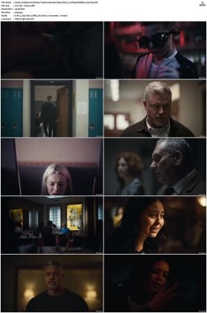 Euphoria S01 S02 WEBRip EAC3 5 1 1080p x265-iVy