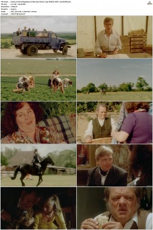 The Darling Buds of May 1991 S01 S03 720p WEB-DL HEVC x265 BONE