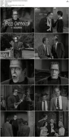 The Munsters 1964 S01 S02 DVDRip MPEG-NGP