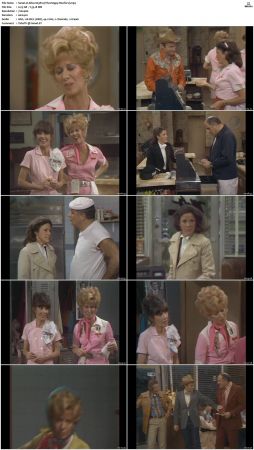 Alice S01-S09 480p DVDRip AAC2.0 x264-NGP
