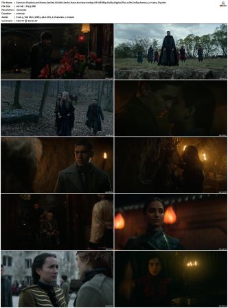 Shadow and Bone S01 S02 1080p NF WEBRip DDP Atmos 5 1 x265-iVy