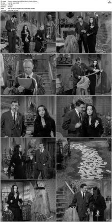The Addams Family 1964 S01-S02 DVDRip X264-NGP