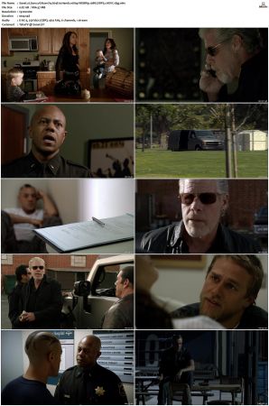 Sons of Anarchy S01-S07 SUPER-PACK 1080p WEBRip 10Bit DDP5.1 HEVC-d3g