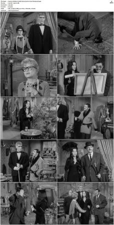 The Addams Family 1964 S01-S02 DVDRip X264-NGP