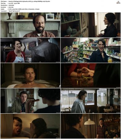 Fleabag S01 S02 WEBRip EAC3 51 1080p x265-iVy