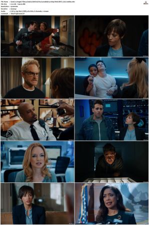 Angie Tribeca S01-S04 SUPER-PACK 1080p WEB DDP5.1 HEVC x265-JoeBee