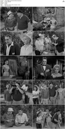 Gilligans Island S01 S03 DVDRip H264-NGP