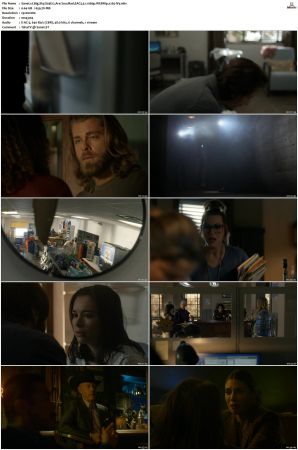 Big Sky S01-S03 1080p WEBRip EAC3 5.1 x265-iVy