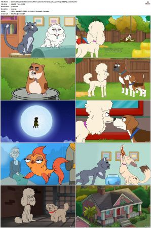 HouseBroken S01 S02 WEBRip EAC3 5 1 1080p x265-iVy