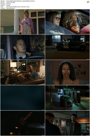 Big Sky S01 S03 WEBRip EAC3 5 1 1080p x265-iVy