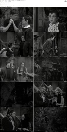 The Munsters 1964 S01 S02 DVDRip MPEG-NGP